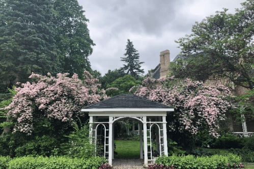 Take a Stroll through Grosvenor Lodge Gardens: Part 1